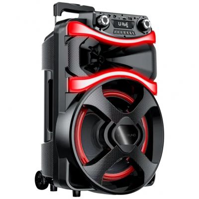 Caixa de Som Vibe Sound Amplificada VS001 V12 Power 800w RMS